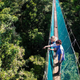 Image for article titled How To Dodge A Bullet Ant 12 Stories Up — In The Rainforest Canopy